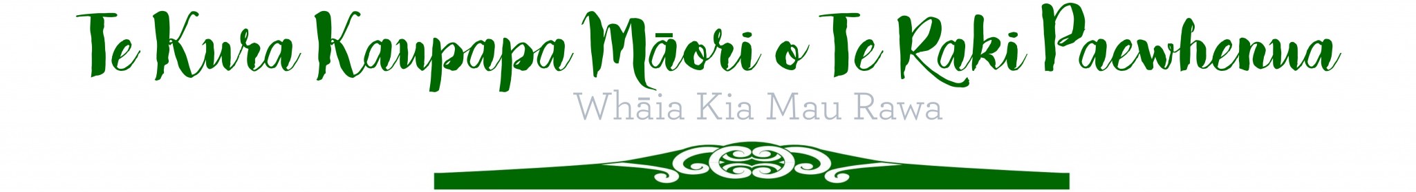 Te Kura Kaupapa Maori o Te Raki Paewhenua Logo